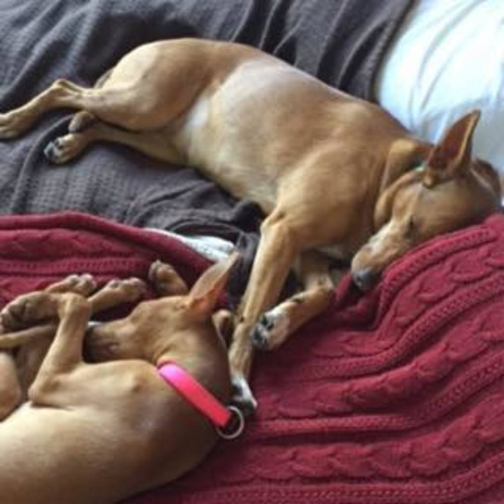 Meet your Posher, Kathy