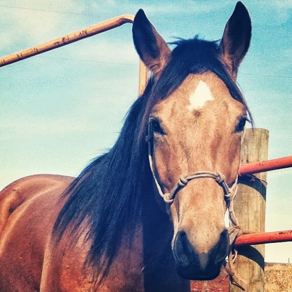 Meet your Posher, Dionne