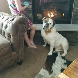 Meet your Posher, Tammara