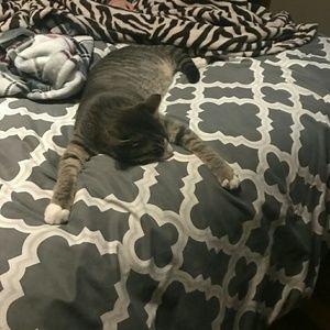 Meet your Posher, Bre