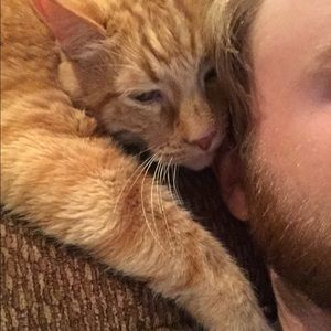 Meet your Posher, Drake