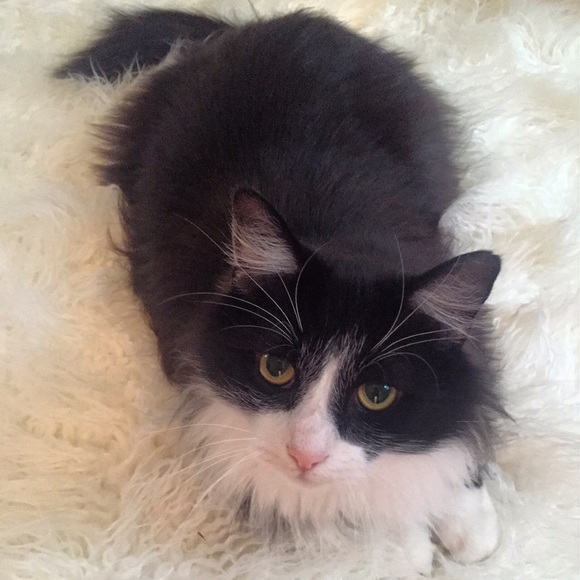 Indianapolis - Picture 3 of 3