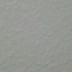 Meet your Posher, Beverly