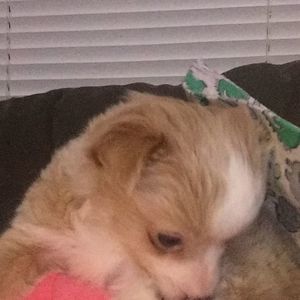 Meet your Posher, Terry