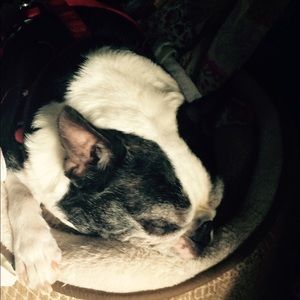 Meet your Posher, Debra