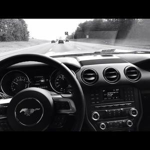 Meet your Posher, Brandi