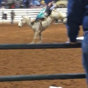 Meet your Posher, Damon