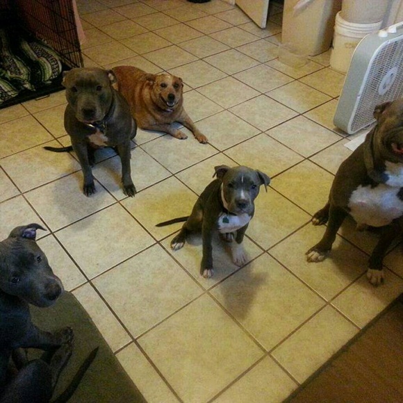 Meet your Posher, Laura - Picture 1 of 1