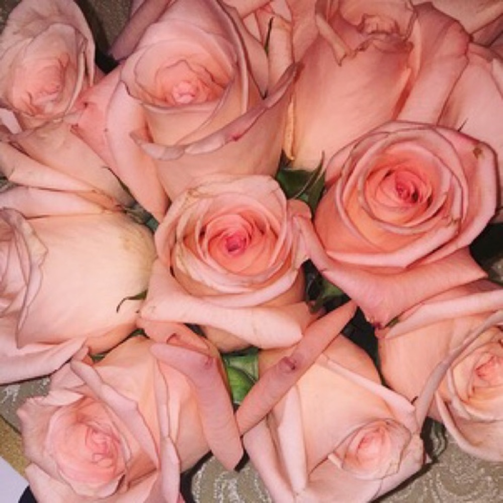 Meet your Posher, Raychel