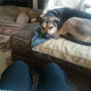 Meet your Posher, Amy
