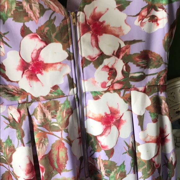 Ina Dresses - Floral Skater Dress Ina Dresses - Floral Skater Dress