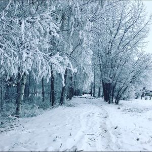 Meet your Posher, Phillipia