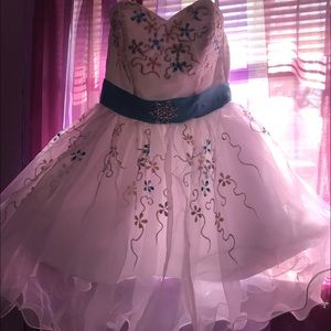 Homecoming/Prom Dress