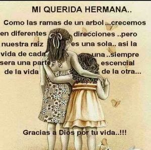 Meet your Posher, Liliana