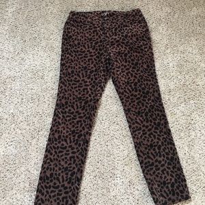 Leopard pants
