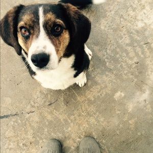 Meet your Posher, Jenna