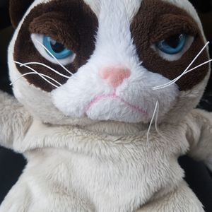 Meet your Posher, Rosy