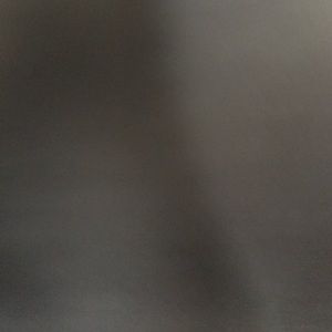 Meet your Posher, Ace