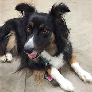 Meet your Posher, Leisel