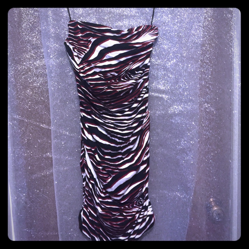 Express Zebra Dress