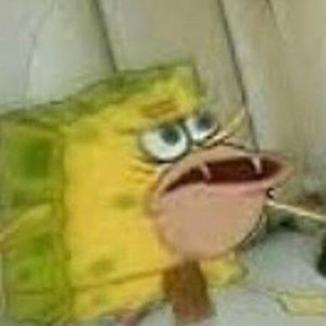 Meet your Posher, Ethan