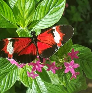 Meet your Posher, Joan