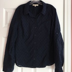 Blue sheer polkadot button down