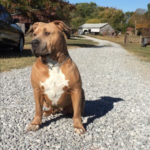 Meet your Posher, Jamie