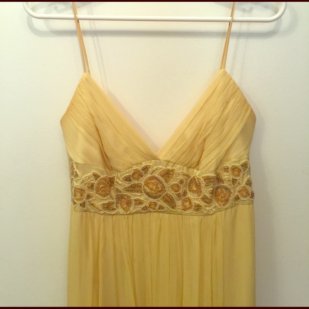 BCBG MaxAzria floor length chiffon gown