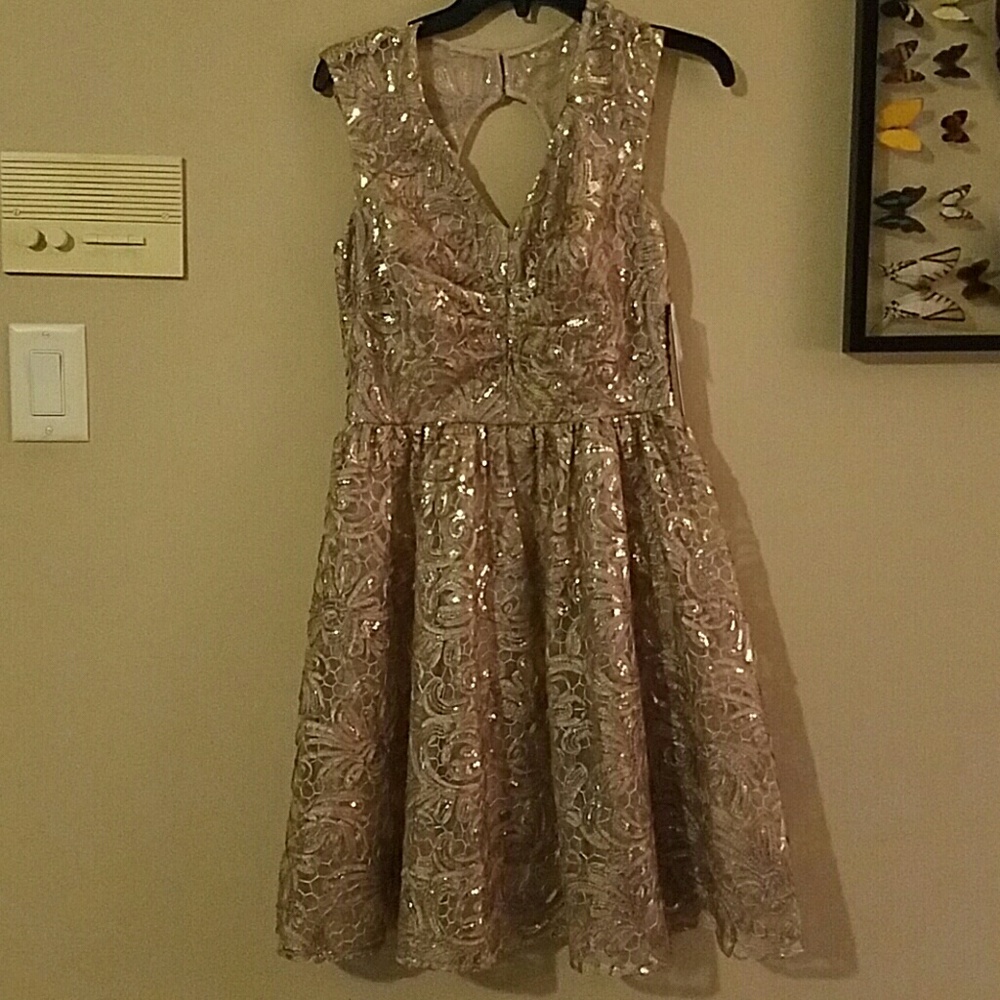 NWT Gorgeous Lace and Sequin Modcloth dress!