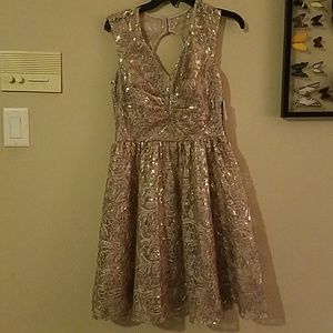 NWT Gorgeous Lace and Sequin Modcloth dress!