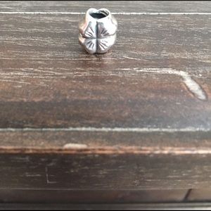 Pandora charm