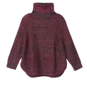 Victoria's Secret boxy wool turtle neck