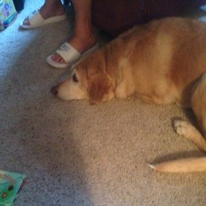 Meet your Posher, Alesandra