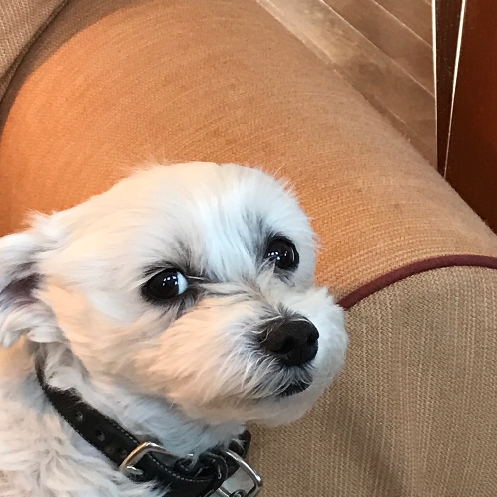 Meet your Posher, Cynda