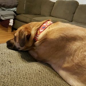 Meet your Posher, Aaron