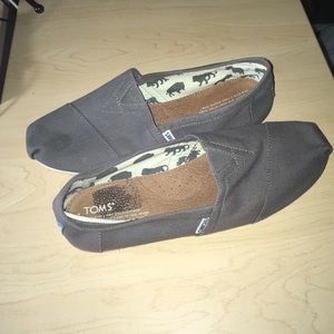 Men's TOMS shoes (worn once)
