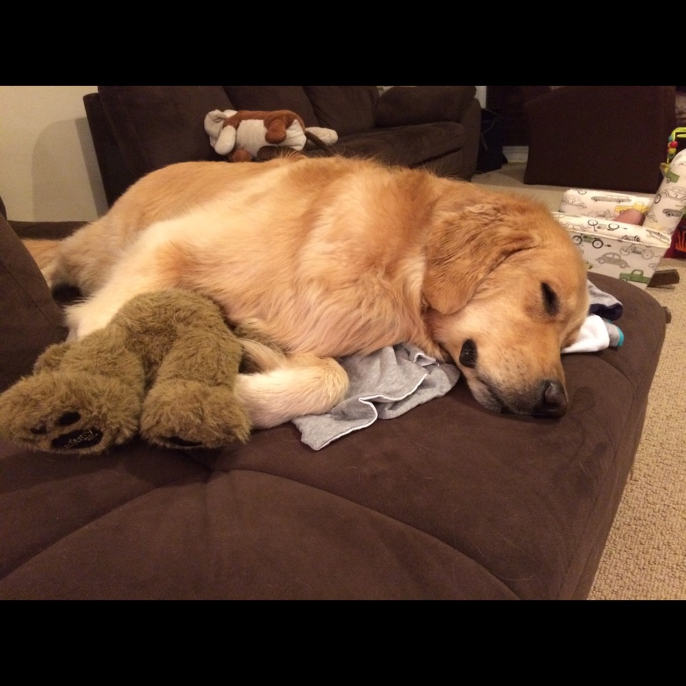 Meet your Posher, Nicole