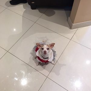 Meet your Posher, Lori