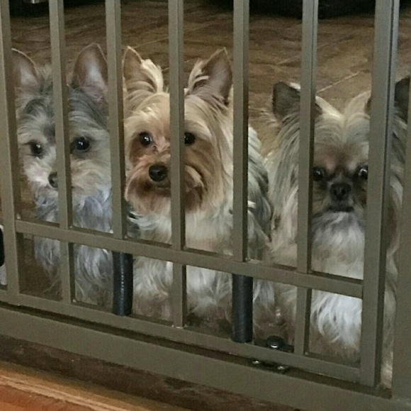 Meet your Posher, Annette - Picture 2 of 10