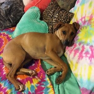 Meet your Posher, Sylvia