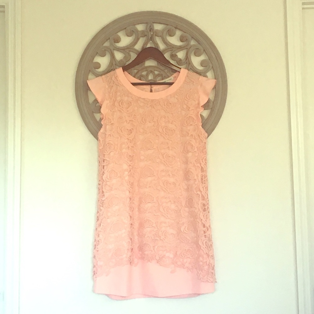 Rhyme Los Angeles Pink Lace Dress, L