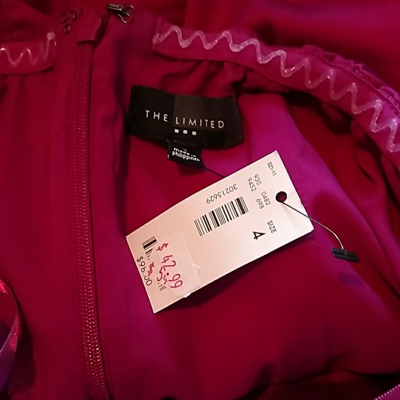 The Limited Strapless Magenta Dress - Picture 2 of 2