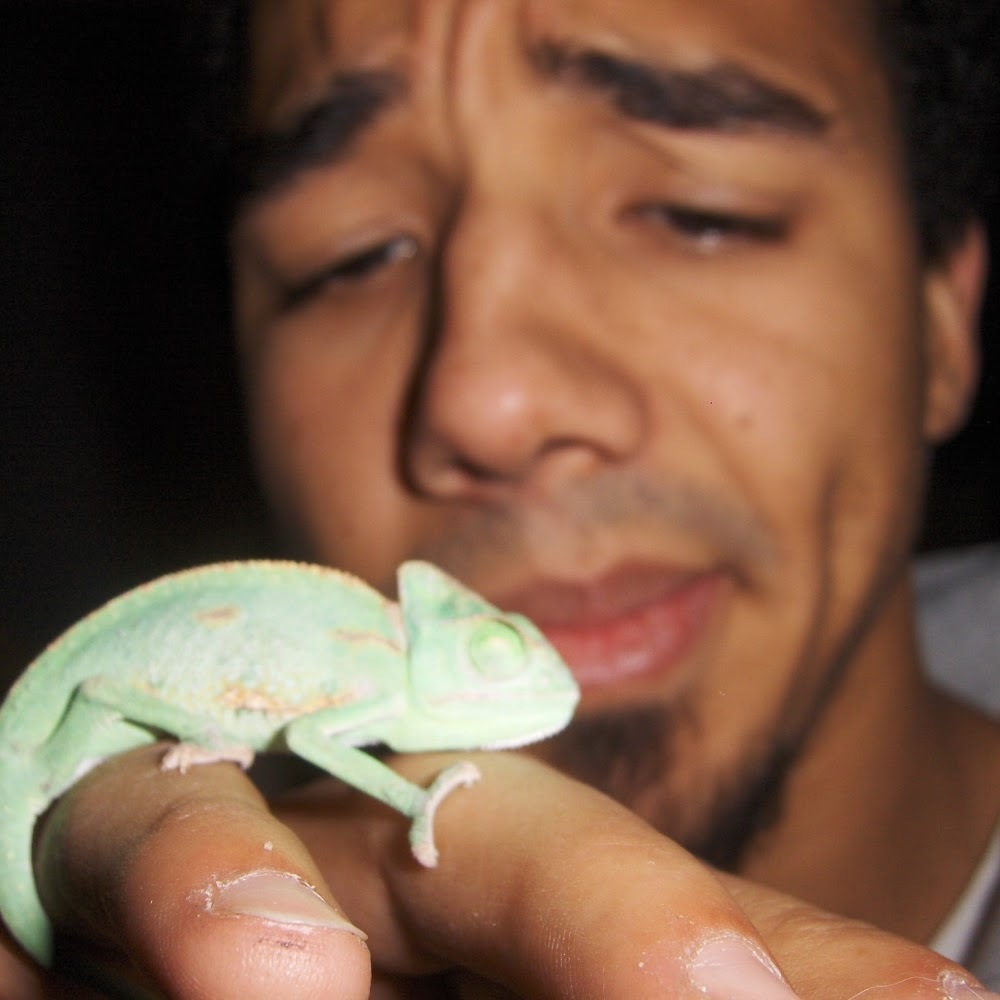 Meet your Posher, Reginald