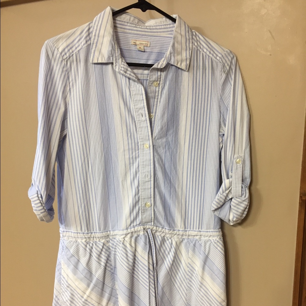 Gap Drop Waist Dress XS