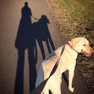 Meet your Posher, Jeri