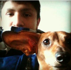 Meet your Posher, Pablo