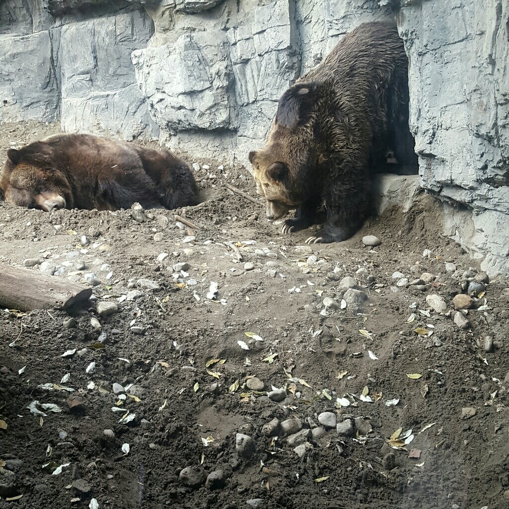 Meet your Posher, Sherma