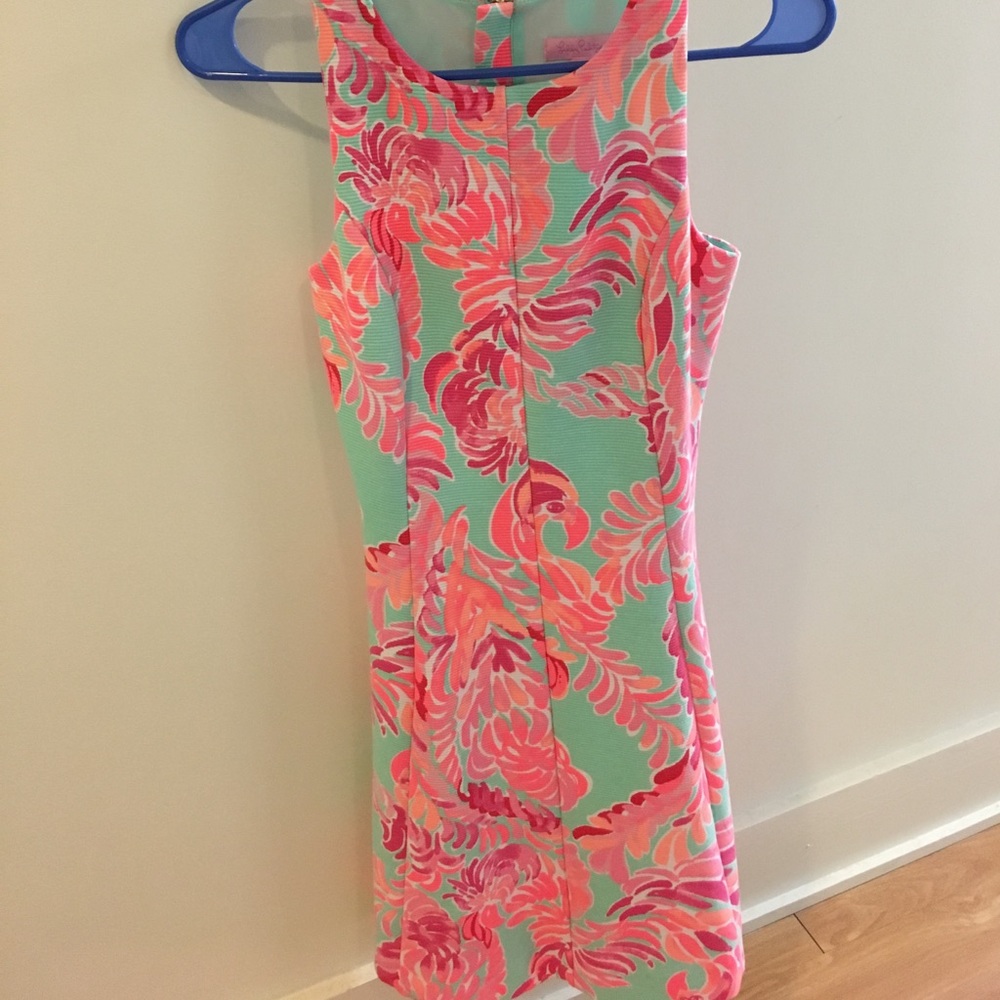 Lilly Pulitzer Fit and Flare Dress