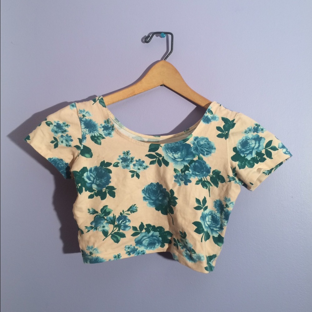 American Apparel Crop Top